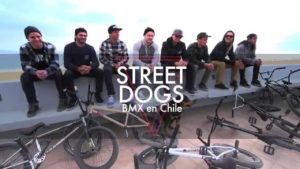 Street Dogs en Chile